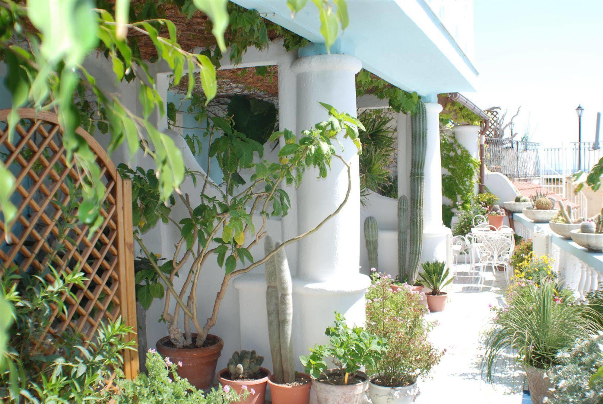 Hotel La Palma Sant'Angelo  Exterior foto